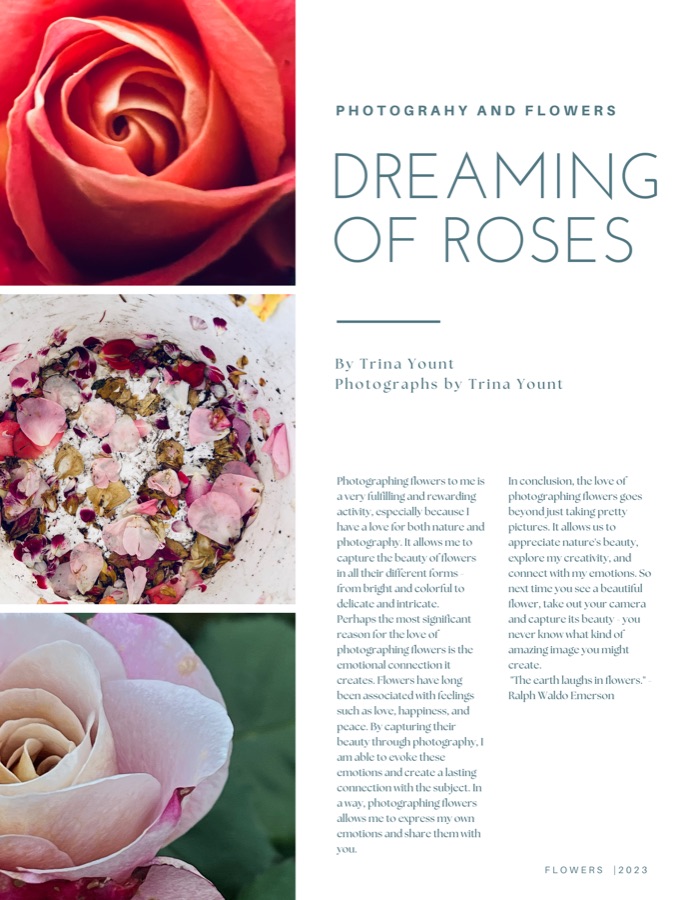 Dreaming of Roses print by Wandering Blue Moon