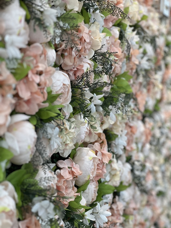 Rose photography by Wandering Blue Moon