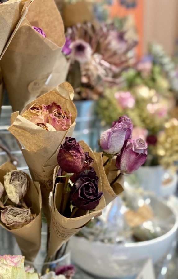 Rose photography by Wandering Blue Moon